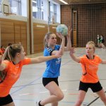 2017_01_08 Landesliga Frauen u. J19